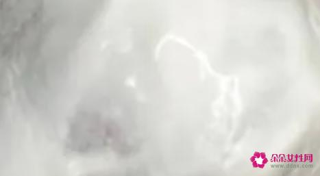 养颜护肤妙方有哪些