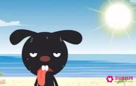 太阳怎么晒黑