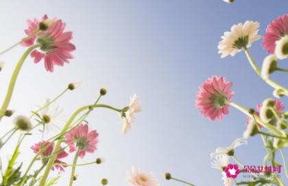 眼霜的正确的使用方法