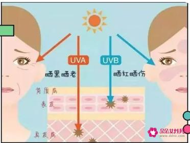 先涂隔离还是要先涂防晒