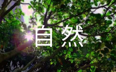 下巴变尖的自然妙招