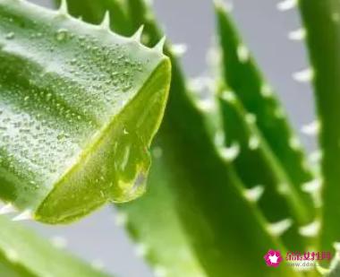 脸部美白的快方法