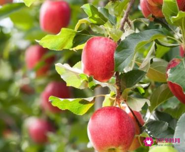 脸部美白的快方法