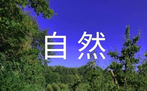 RM宋智孝自然系美女的种种美丽妆容