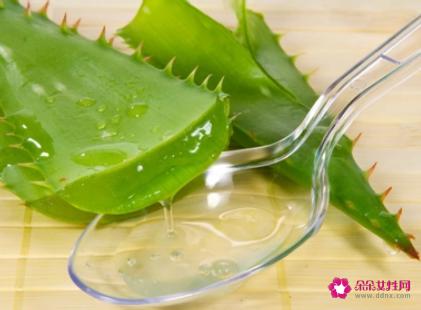 芦荟的美容功效