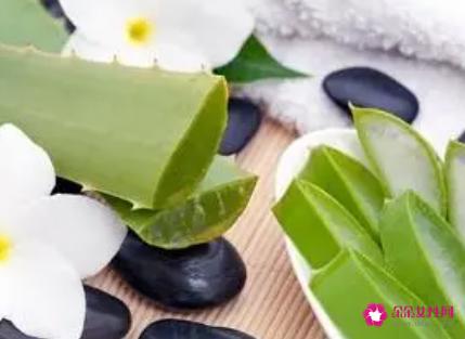 芦荟的美容功效