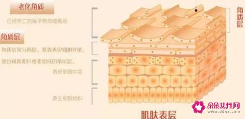 修复角质层的最佳方法