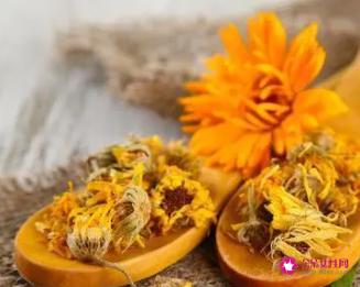 金盏花的功效与作用