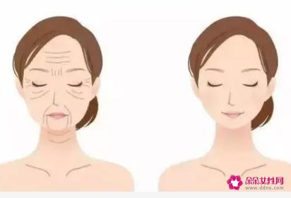 衰老的几个特征