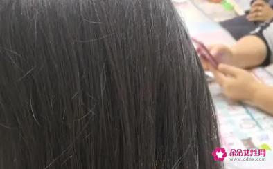 关于头发的性质和基础知识