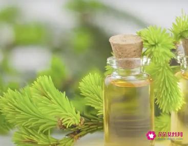 茶树精油的功效有哪些