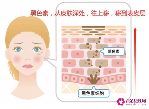 天生黑皮肤能变白吗