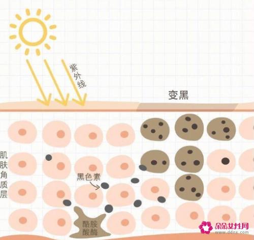 天生黑皮肤能变白吗