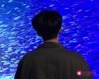 脸小的男生适合什么发型