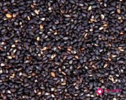 老祖宗留下的乌发常青秘方