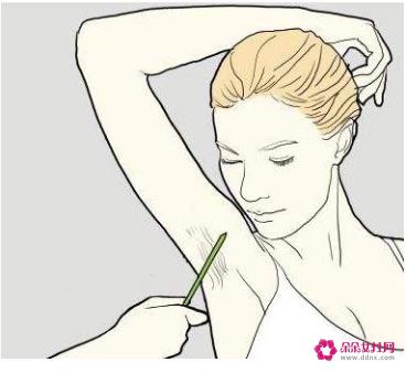 女生说脱毛是指哪里