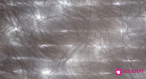 天丝是什么面料