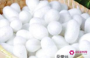 杭州十大桑蚕丝品牌