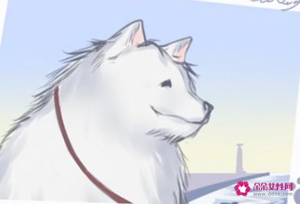 什么是美人痣