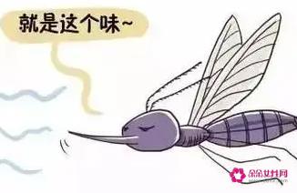 穿什么颜色的衣服容易被蚊虫叮咬