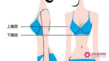 女人内衣尺码标准
