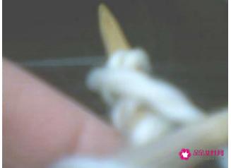 情人扣围巾编织教程