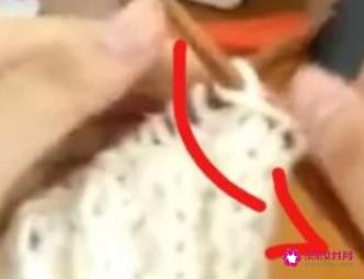 情人扣围巾编织教程