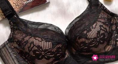 夏娃之秀内衣属于什么档次