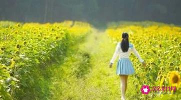 长得惊艳的女生特点