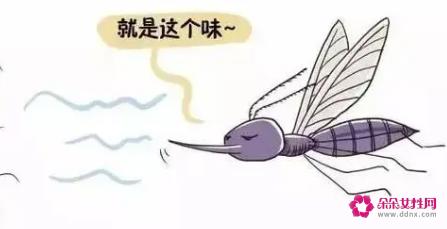 什么颜色的衣服容易被蚊子叮咬