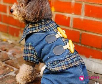 牛仔裤废物利用