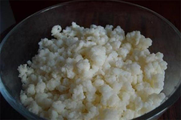 雪莲菌是什么 雪莲菌的功效与作用