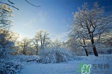 下雪天会打雷吗?下雪天为什么会大雷?