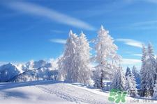 下雪天会打雷吗?下雪天为什么会大雷?