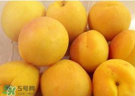 杏吃多了会怎么样?杏吃多了会不会上火?