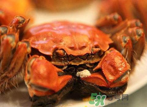 太湖蟹什么时候上市？太湖蟹几月份有