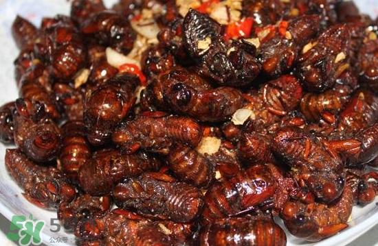 油炸知了猴几分钟？油炸知了猴怎么做好吃？