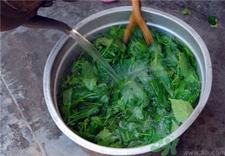 吃神仙豆腐有什么好处?神仙豆腐的功效与作用