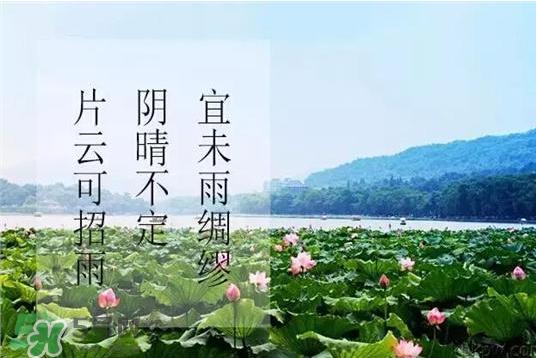 2017年几月几号入伏？入伏是几月几号2017？