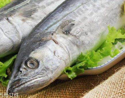 鲅鱼和青占鱼是一种吗 体型不一