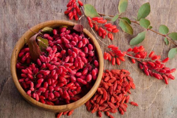 枸杞和红枣泡水喝有什么好处 枸杞加什么最补肾壮阳