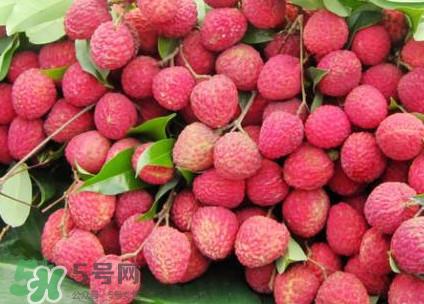 增城荔枝节是什么时候?2017年增城荔枝节时间