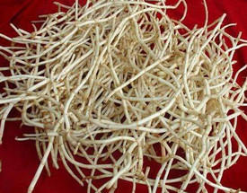 蕺菜怎么念？蕺菜怎么读