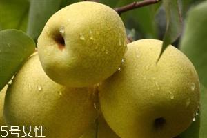 晚上吃梨子会胖吗？梨不能和开水一起吃