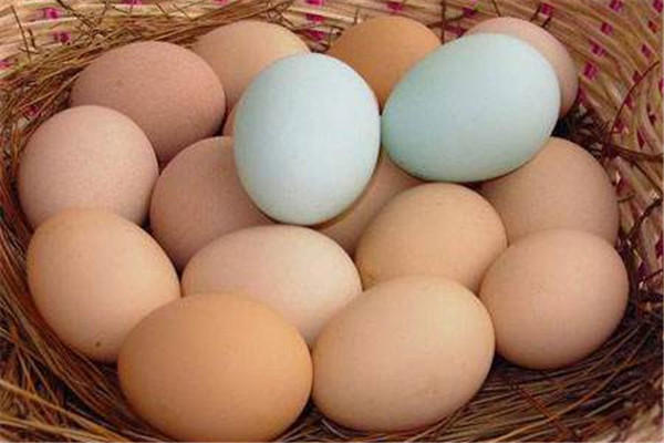 土鸡蛋和普通鸡蛋的区别 土鸡蛋的营养价值