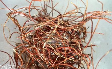 鸡骨草能吃吗 鸡骨草灵芝汤