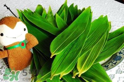 包粽子的叶子叫什么？包粽子的叶子怎么处理？