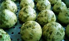 榆钱的营养价值 榆钱的功效与作用