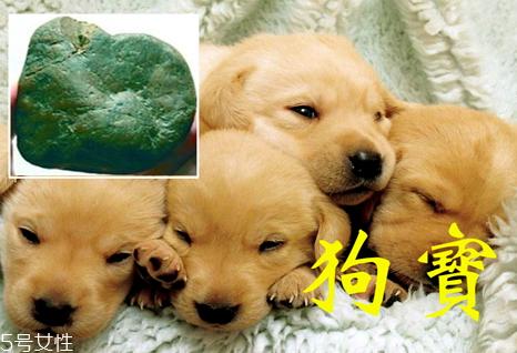 狗宝是什么多少钱一克 2018狗宝多少钱一克