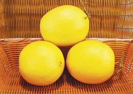 伊丽莎白瓜不能和什么一起吃 伊丽莎白瓜什么人不能吃